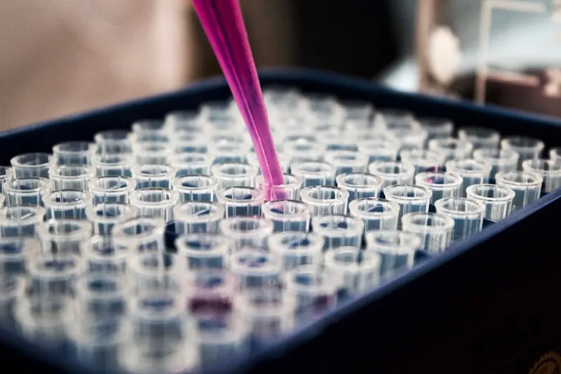 Biotech & Pharma R&D